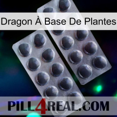 Dragon À Base De Plantes 31